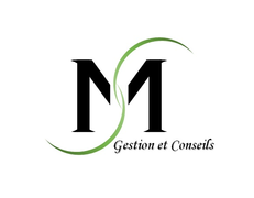 MS Gestion et Conseils, Professional services, Biel/bienne