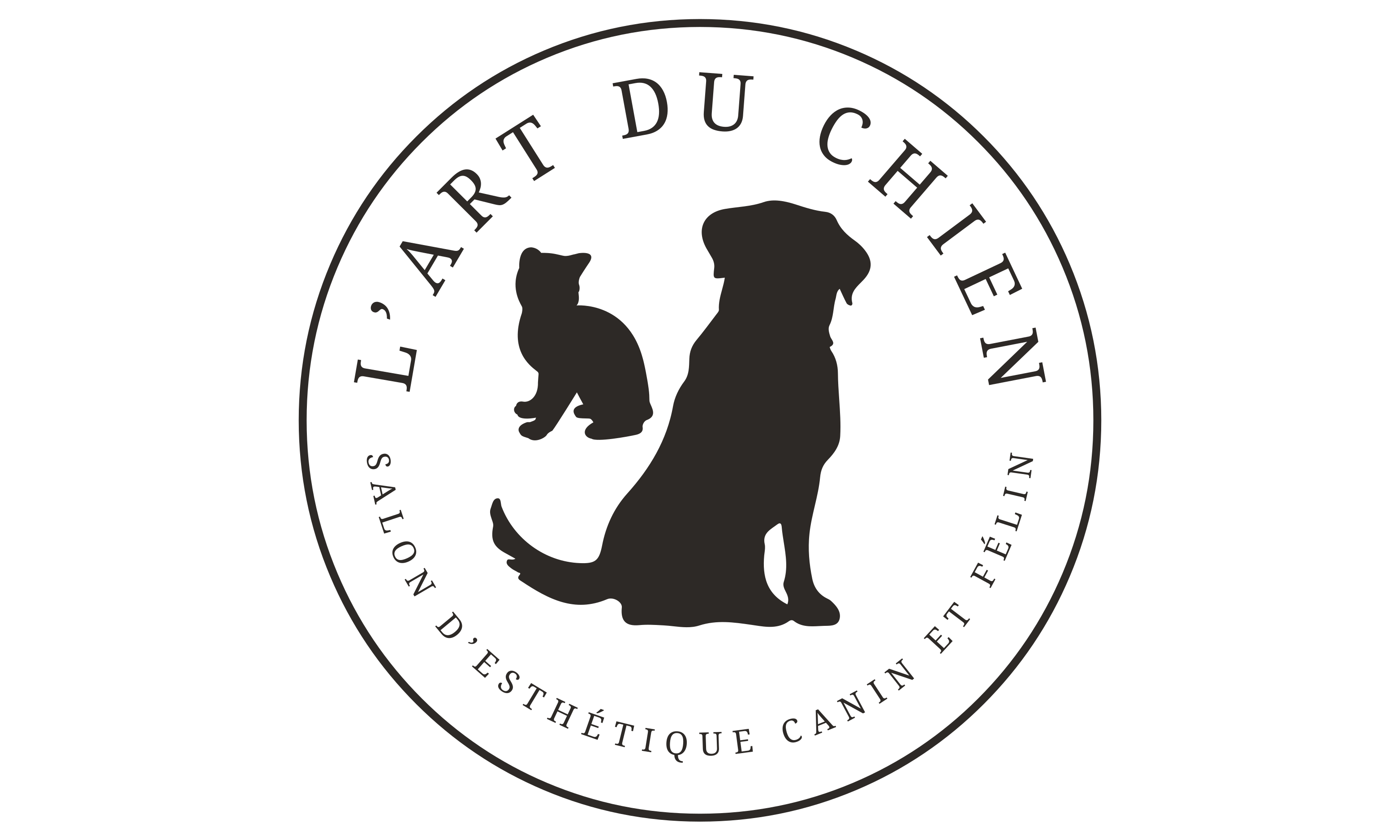 L ART DU CHIEN