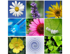 Cabinet de naturopathie, nutrition et hypnose thérapeutique beauty salon PETIT-LANCY beauty parlour PETIT-LANCY Cabinet de naturopathie, nutrition et hypnose thérapeutique