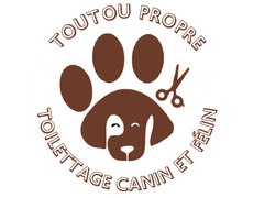 beauty parlour Carouge Toutou propre