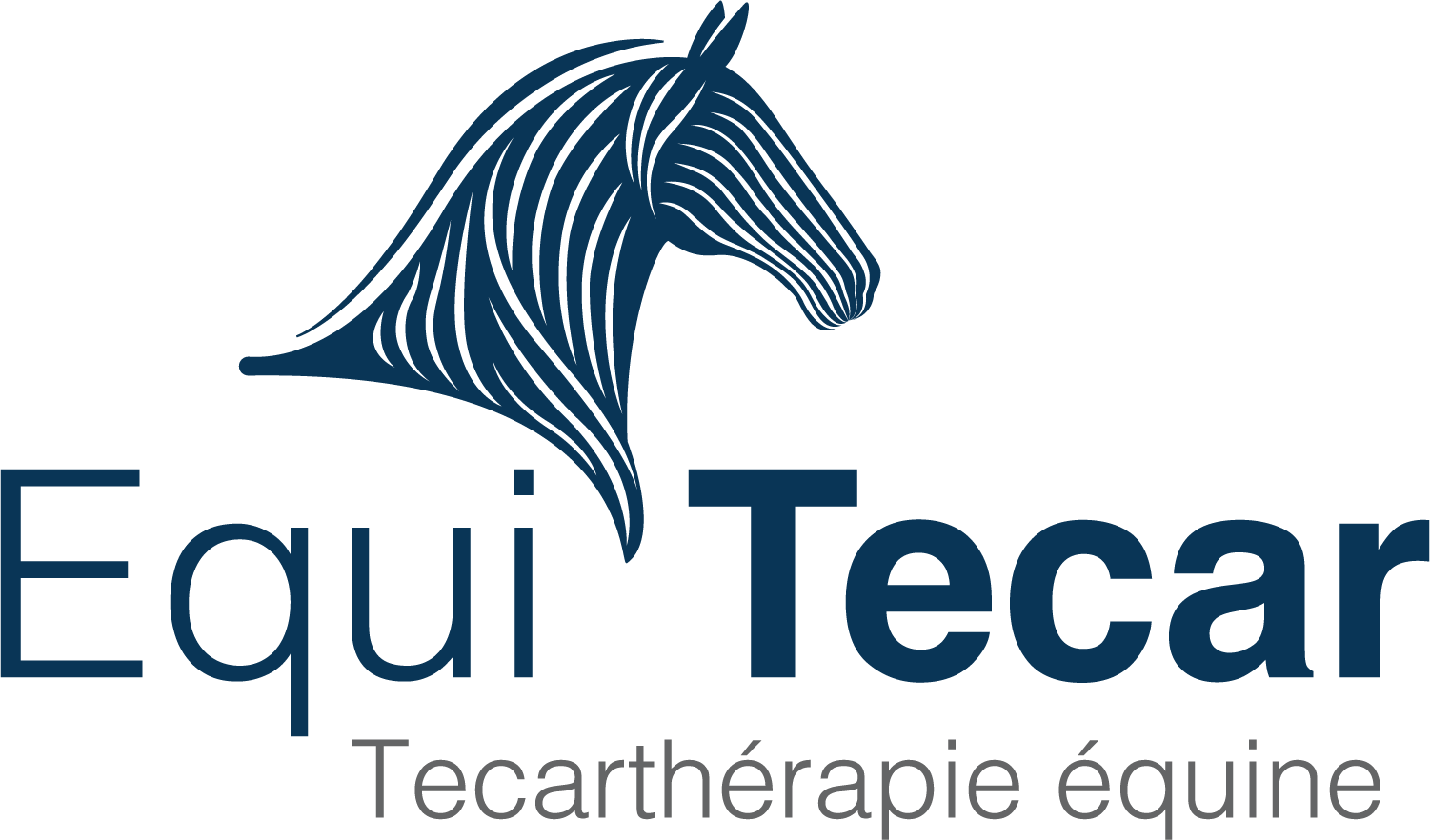 Equi-Tecar
