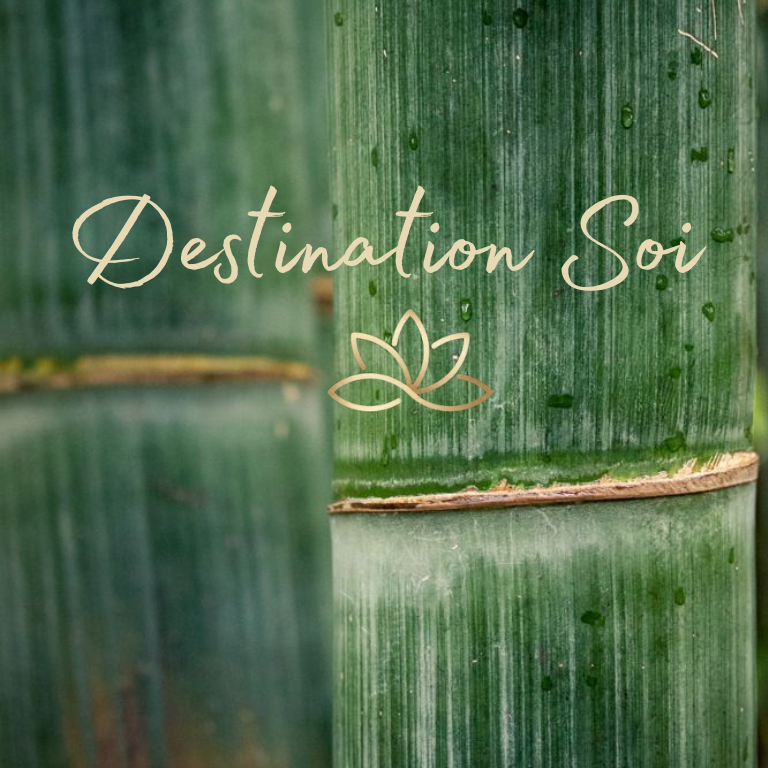 Destination Soi