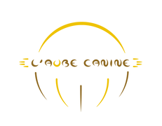 Business Coaching Poliez-Pittet L'Aube Canine