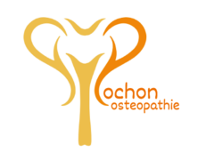 Ostéopathie Pochon Philippe , Osteopath, Billens