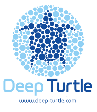 Deep Turtle