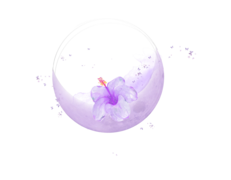 Praxis Fleur d'Aloha, Therapist, Bülach