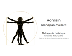 Naturheilkundler Lausanne Naturopathe-en-ligne.ch