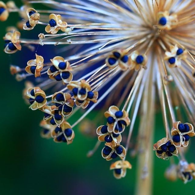 123878489 138916674653288 4476612014149150848 n