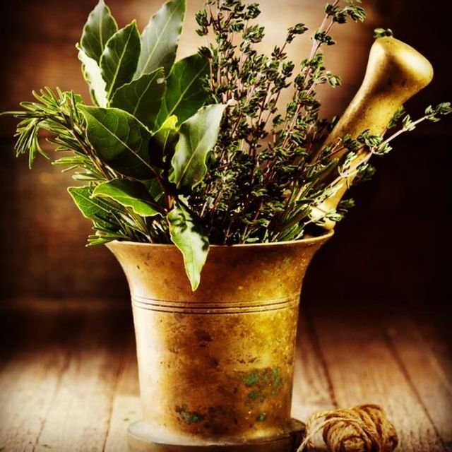 121573995 115970613614561 4858563435744084367 n