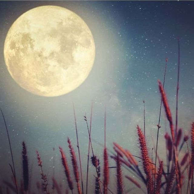 123131891 134643055080650 6962084965449141767 n