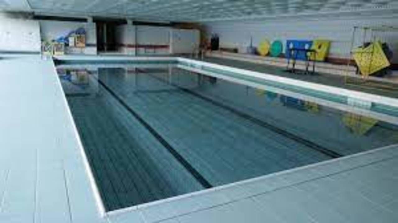 Wohnzimmer Perly Hippocampe club natation (association)