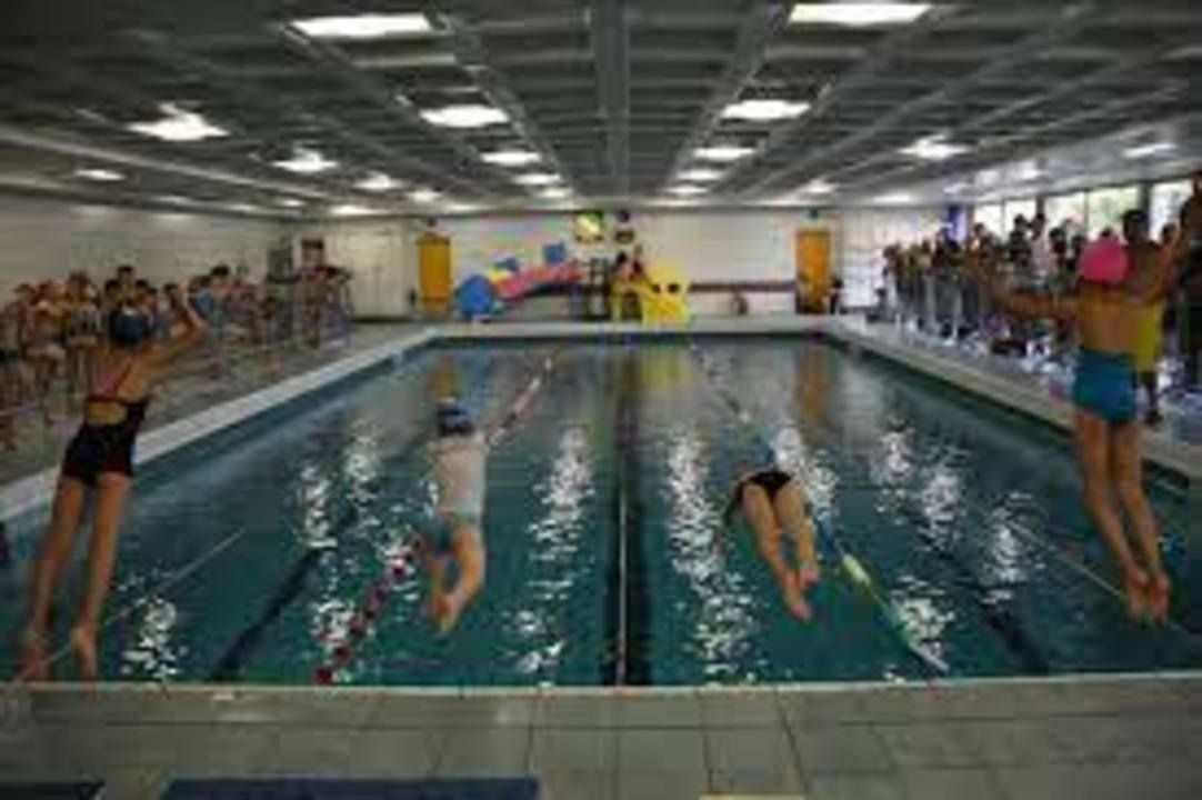 Wohnzimmer Perly Hippocampe club natation (association)