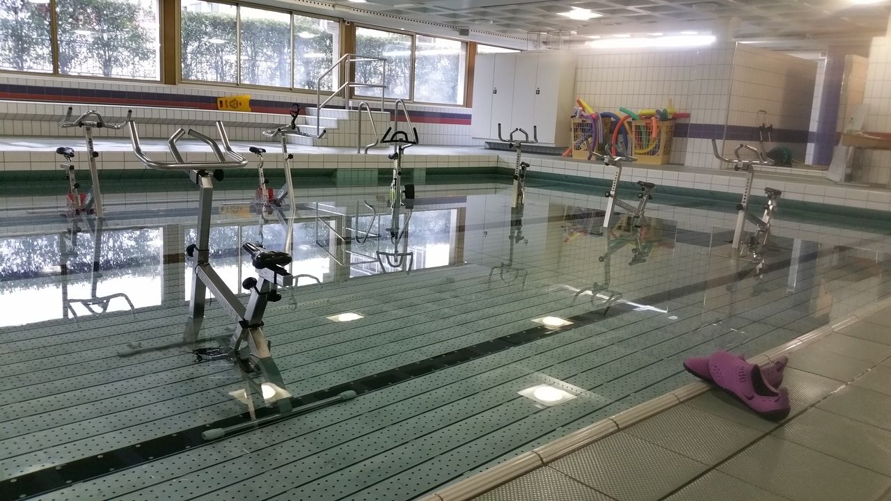 Wohnzimmer Perly Hippocampe club natation (association)