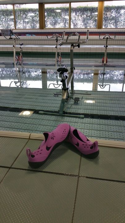 Wohnzimmer Perly Hippocampe club natation (association)