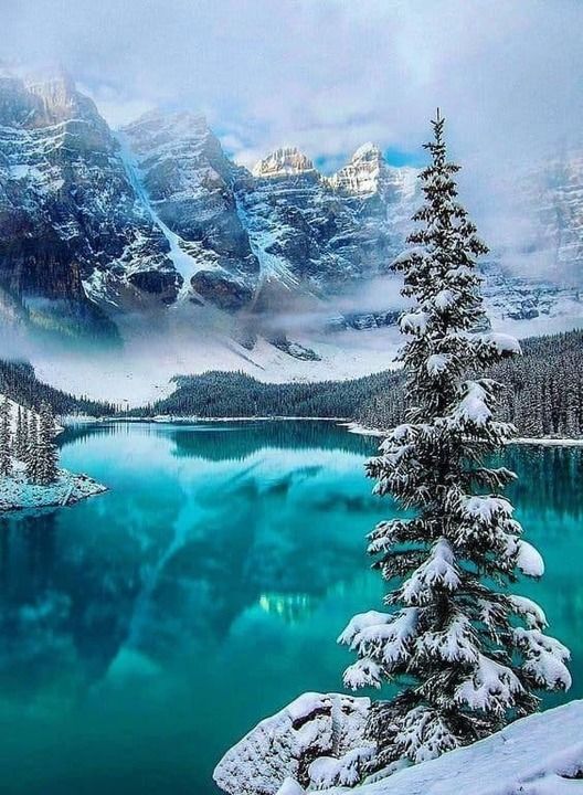 Photo fin ann%c3%a9e