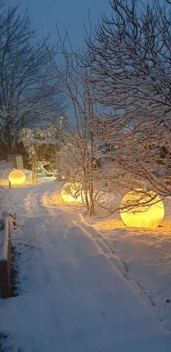Jardin en hiver