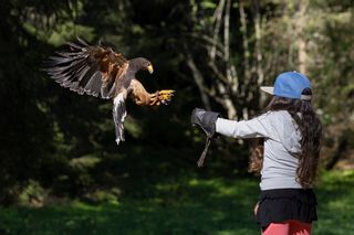 La Petite Volerie Schönheitsinstitut Morgins Wohnzimmer Morgins La Petite Volerie