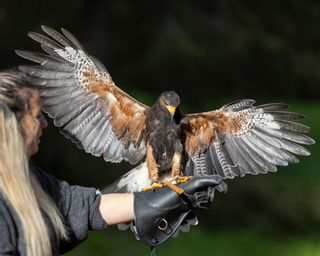 La Petite Volerie Schönheitsinstitut Morgins Wohnzimmer Morgins La Petite Volerie