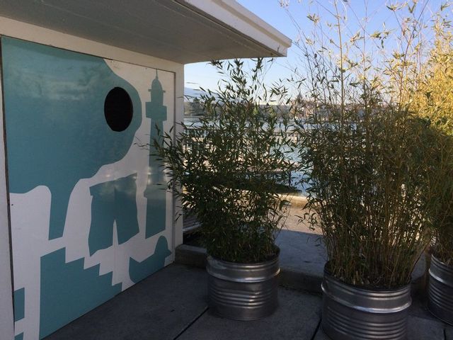 30738961 1528331783960600 1015643603818512384 o