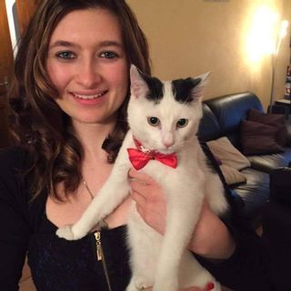 Alidog&Cat institut de beauté Saillon salon Saillon Alidog&Cat