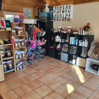 Alidog&Cat institut de beauté Saillon salon Saillon Alidog&Cat