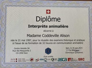 Alidog&Cat institut de beauté Saillon salon Saillon Alidog&Cat
