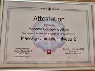 Alidog&Cat institut de beauté Saillon salon Saillon Alidog&Cat