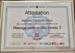 Alidog&Cat institut de beauté Saillon salon Saillon Alidog&Cat