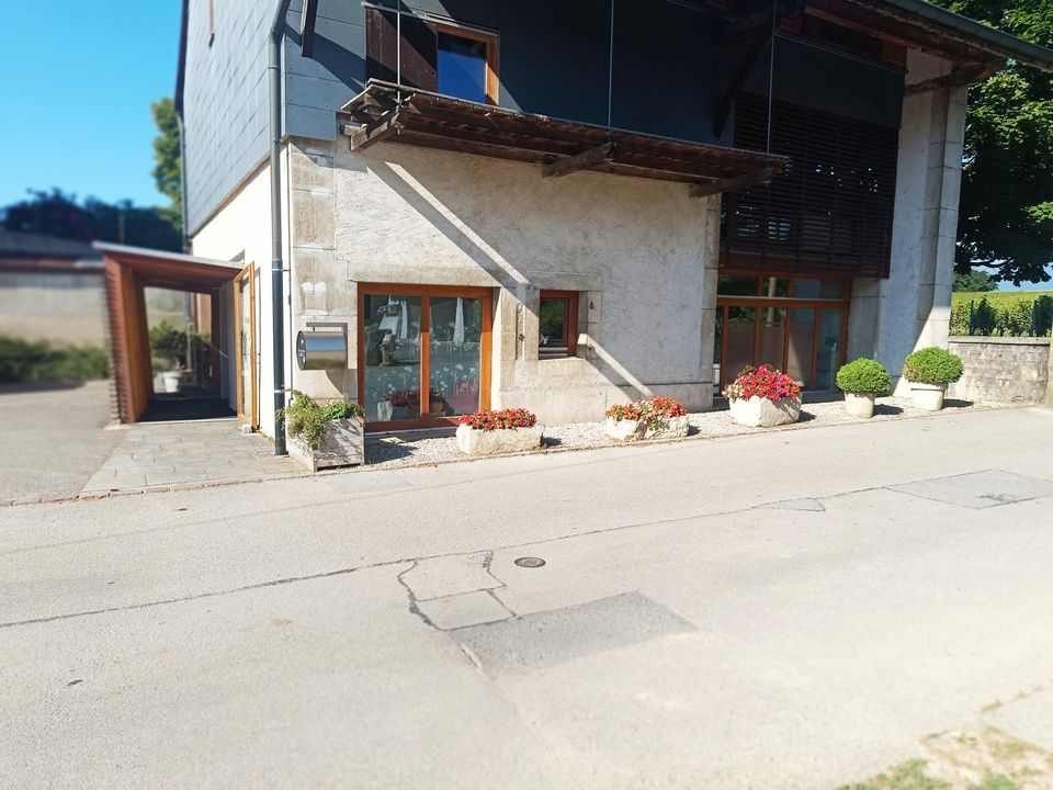 Wohnzimmer Commugny Martine Bandelier