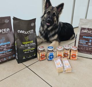 Alidog&Cat institut de beauté Saillon salon Saillon Alidog&Cat