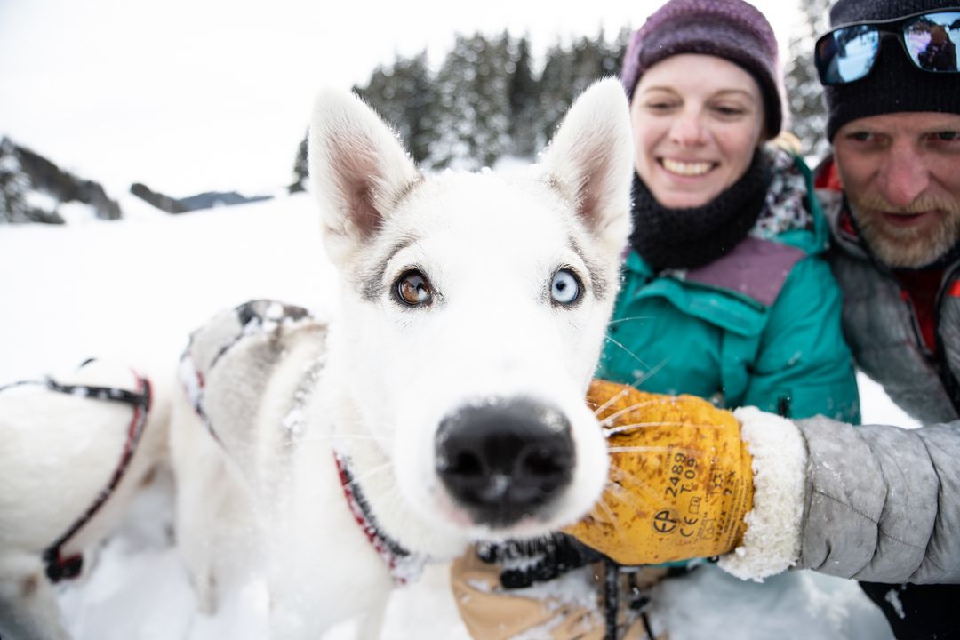 Wohnzimmer Champéry ALPES'HUSKIES