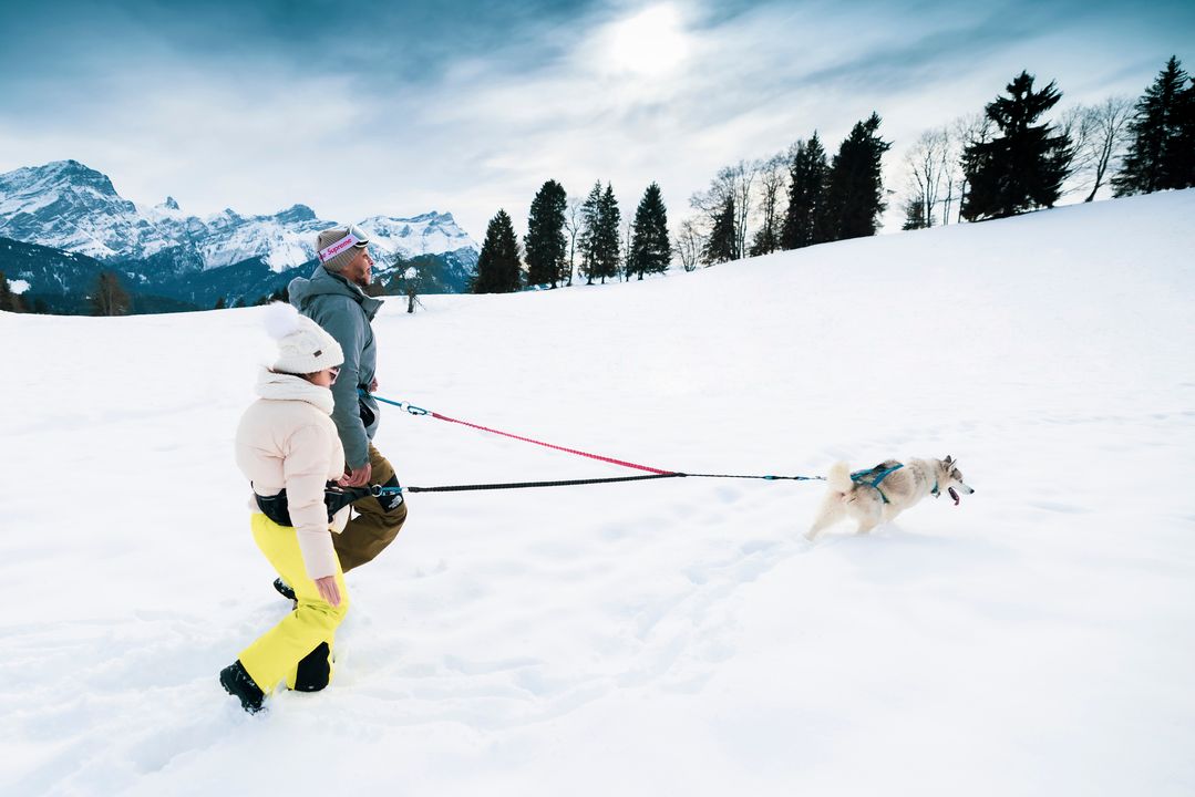 Wohnzimmer Pailly Husky-Rando SA