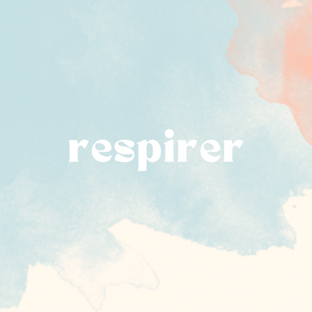 Soft-Power / Réseau Softweb coach Presinge Soft-Power / Réseau Softweb coaching Presinge
