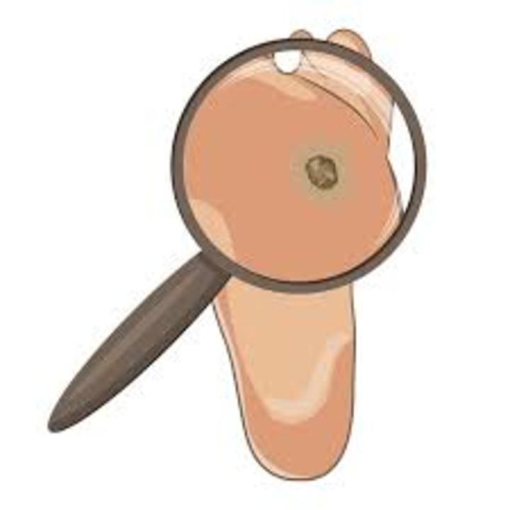 agenda.ch Bulle Talus Podologie