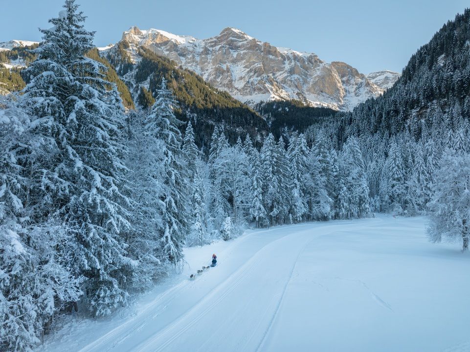 salon Champéry ALPES'HUSKIES
