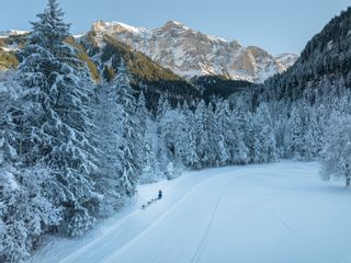 ALPES'HUSKIES Schönheitsinstitut Champéry Wohnzimmer Champéry ALPES'HUSKIES