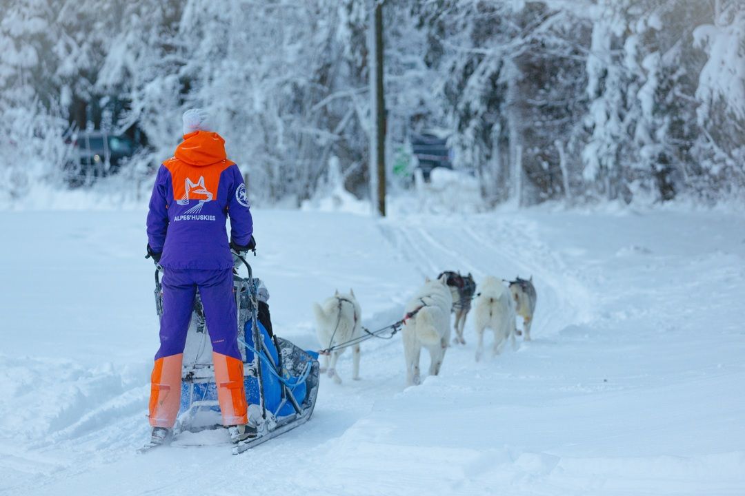 salon Champéry ALPES'HUSKIES