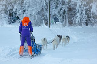 ALPES'HUSKIES Schönheitsinstitut Champéry Wohnzimmer Champéry ALPES'HUSKIES