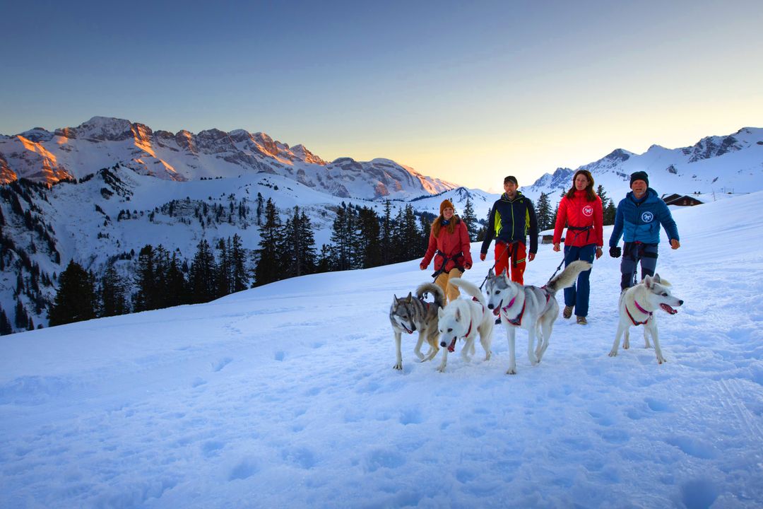 agenda.ch Champéry ALPES'HUSKIES