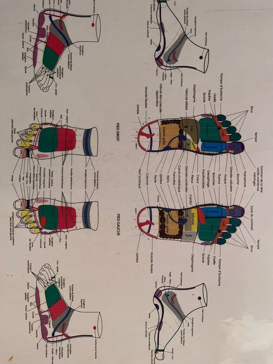 salon Ursy Entre parenthèses