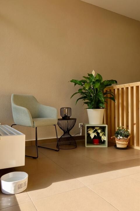 beauty parlour Bernex Funky's Paw