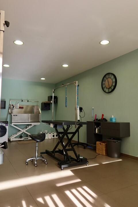 beauty parlour Bernex Funky's Paw