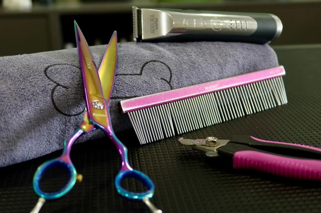 beauty parlour Bernex Funky's Paw