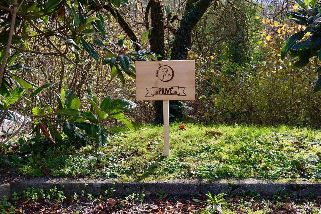 beauty parlour Bernex Funky's Paw