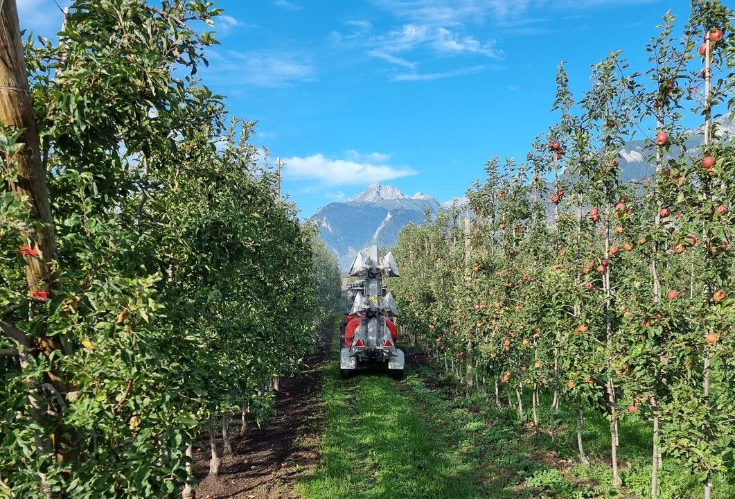 Image page d'acceuil