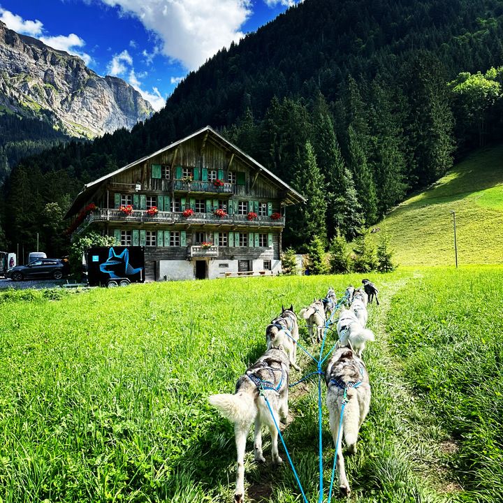 agenda.ch Champéry ALPES'HUSKIES