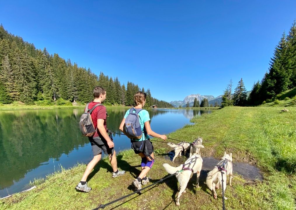 agenda.ch Champéry ALPES'HUSKIES