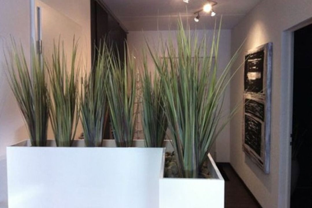 Zahnhygieniker Lausen DENTALLOUNGE Dentalhygienepraxis