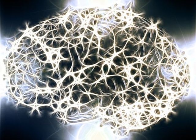 Neurons 1739997  340