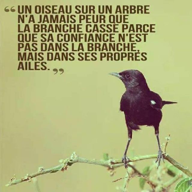 Hypnothérapie Yverdon Therapeutin Yverdon-les-Bains Hypnothérapie Yverdon Therapiepraxis Yverdon-les-Bains